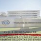 Qual a importancia da Independencia da Funcao de Auditoria na organizacao e no futuro dos Tribunais de Contas do Brasil. 1 85x85